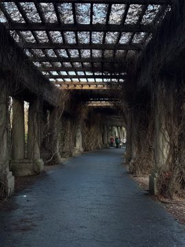 Зала століття у Вроцлаві. Я там взагалі-то туалет шукав (і знайшов), але зупинився на мить зробити фото, бо дійсно гарно.