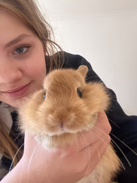 Варя придбала кролика та з допомогою чата GPT назвала його корейським імʼям Пітчі.